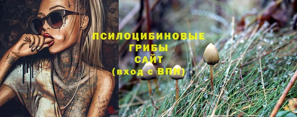 дурь Волоколамск