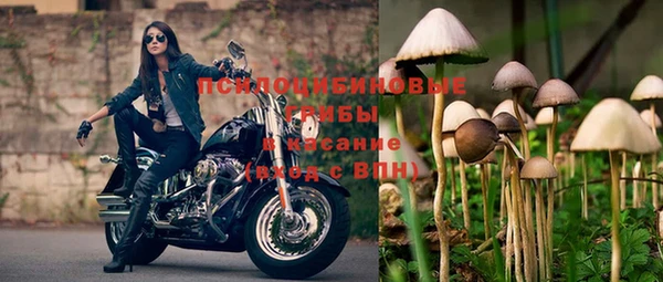 прущий лед Володарск